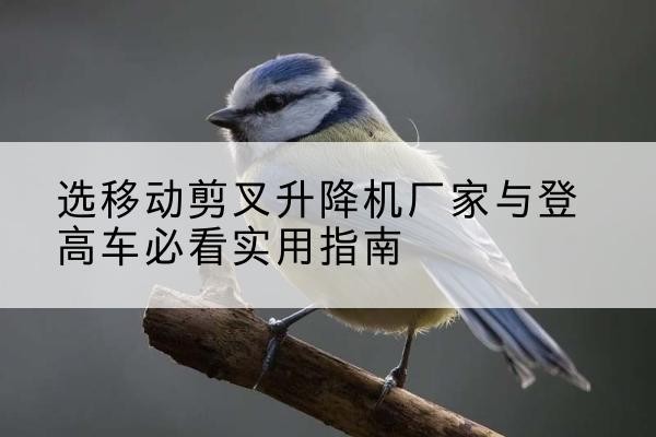 江永电动升降机厂家-选移动剪叉升降机厂家与登高车必看实用指南