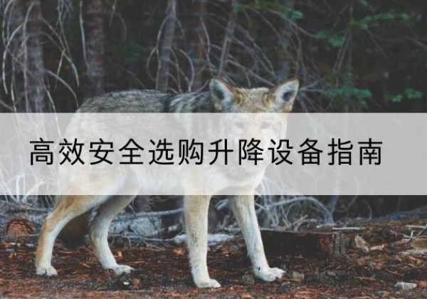 江永升降货梯厂家推荐-*安全选购升降设备指南